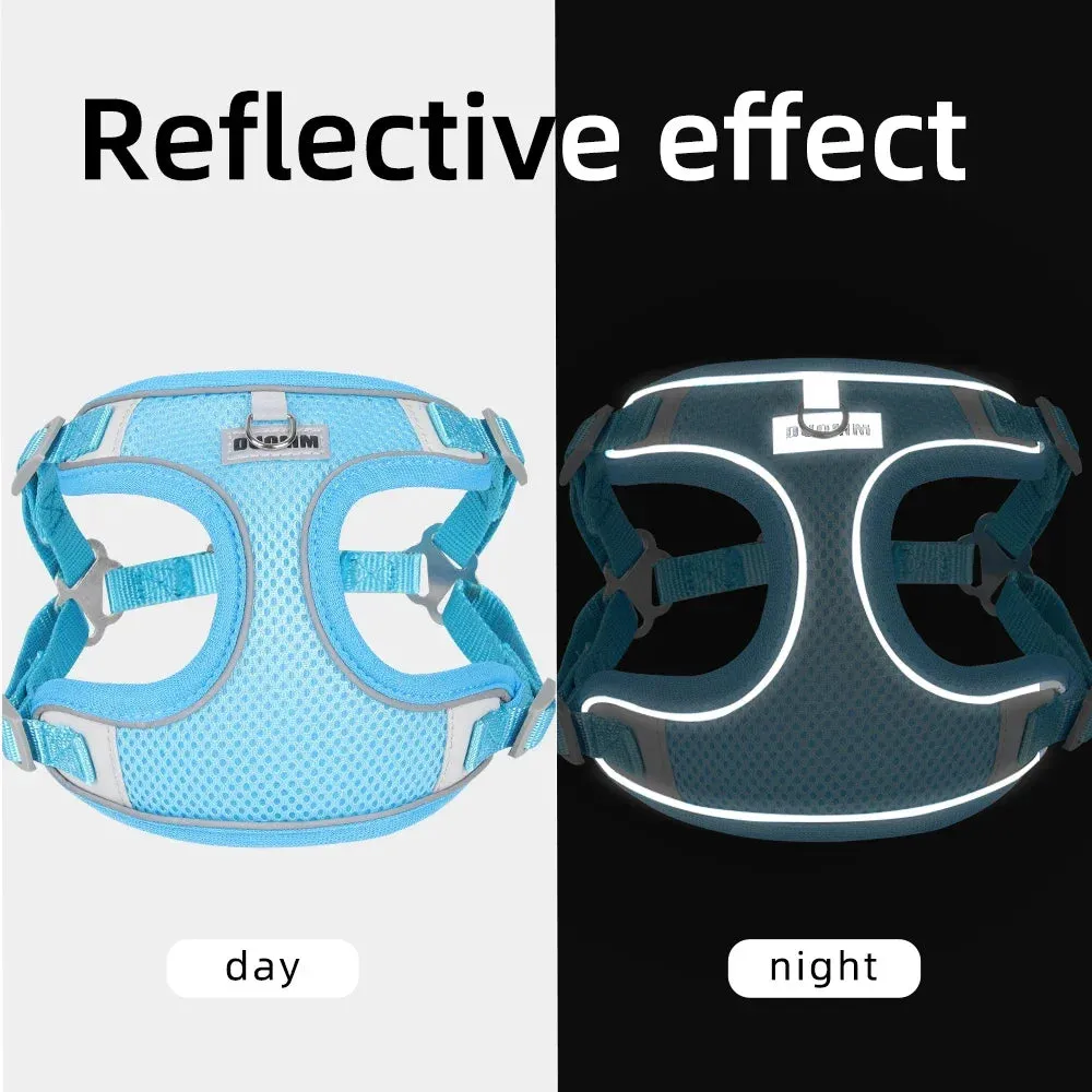 Reflective Dog Harness & Leash Set – Outdoor Walking Vest for Small to Medium Pets
