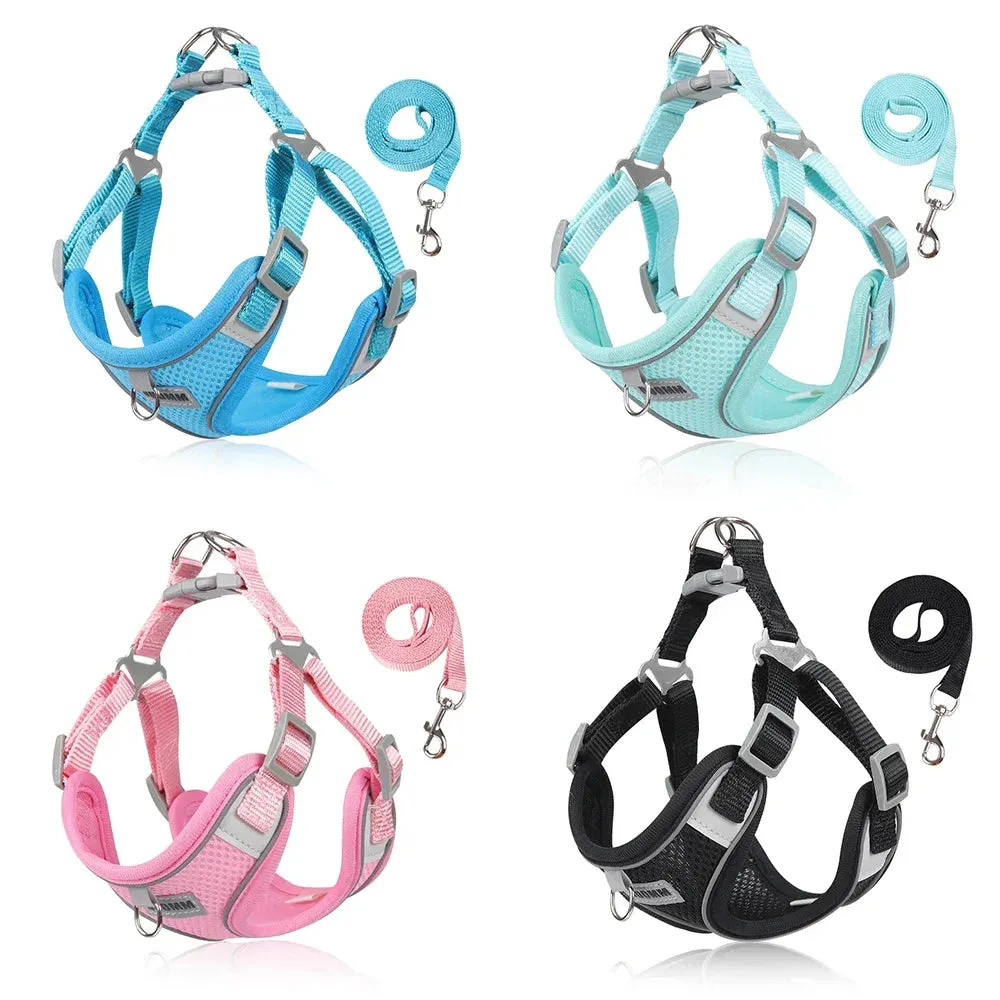 Reflective Dog Harness & Leash Set – Outdoor Walking Vest for Small to Medium Pets