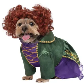 Rubie's Hocus Pocus Winifred Pet Costume