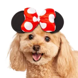Rubies Minnie Mouse Ears Pet Costume - Small/Medium