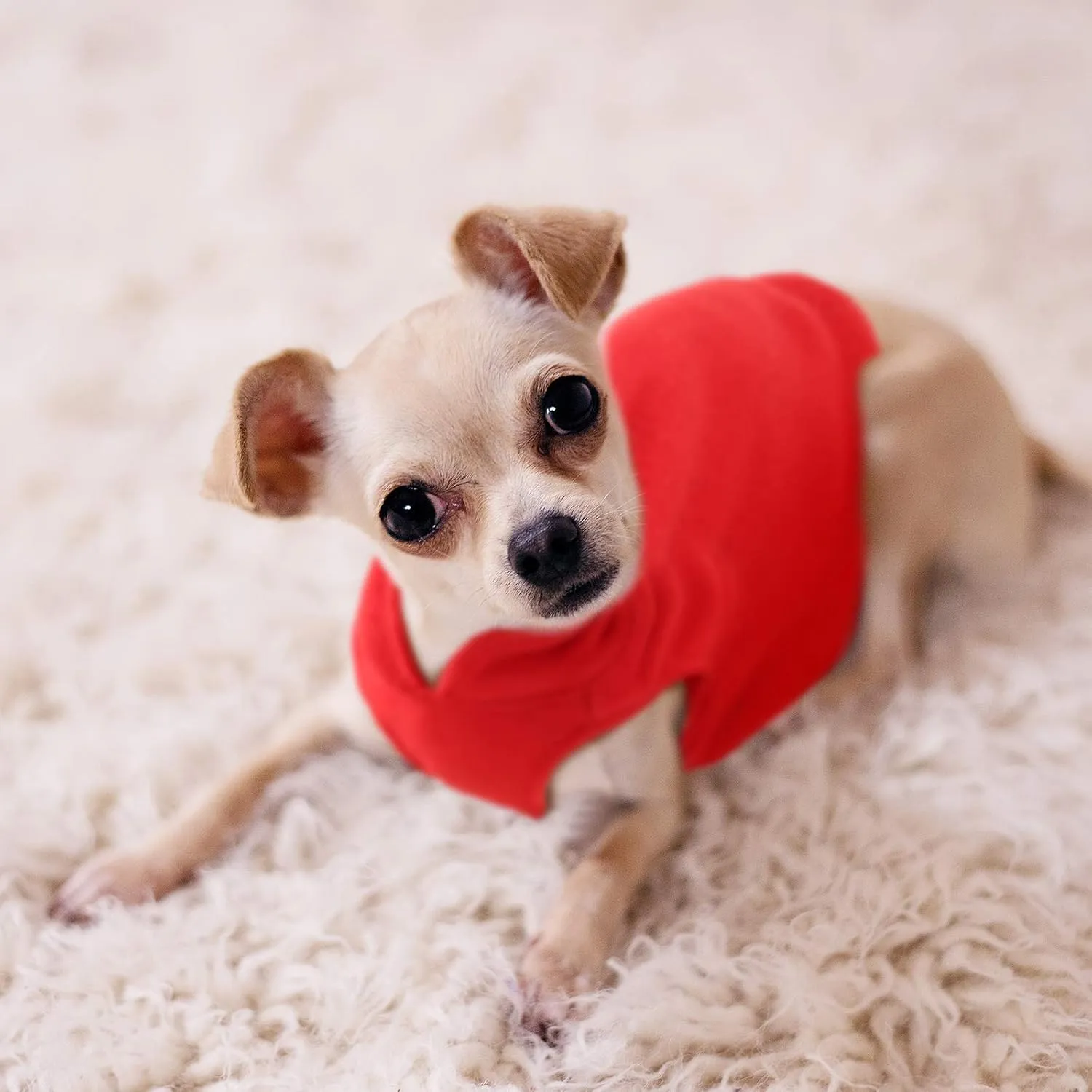 SATINIOR 4 Pieces Dog Polyester Warmer Vest Sweater Warm Pullover Jacket with D-Ring Leash Cold Weather Coat Hoodie for Small and Medium Dogs(M,Purple, Blue, Rose, Red)