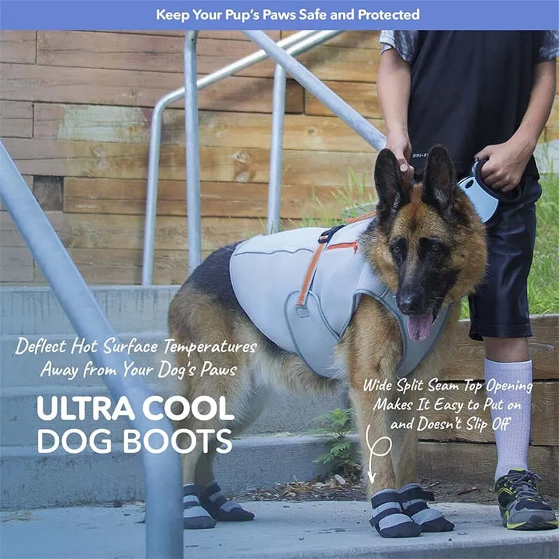 Silver Cool Dog Shoes