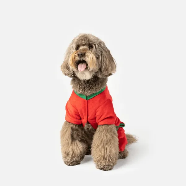 Silver Paw Sleepy Dog Pajamas
