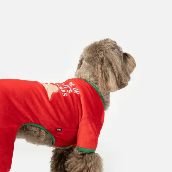 Silver Paw Sleepy Dog Pajamas