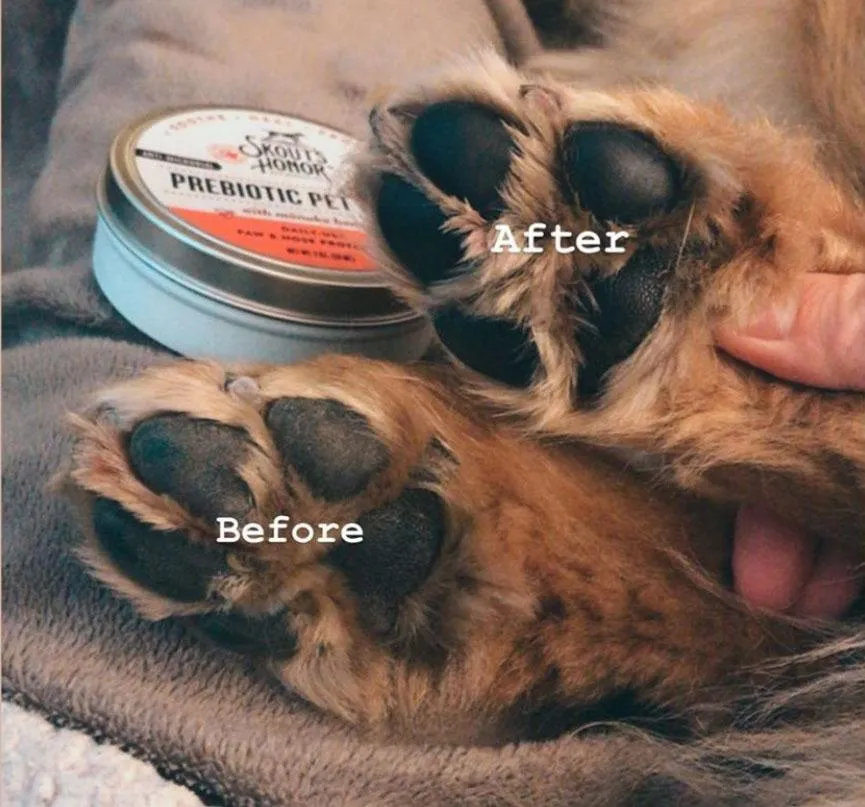 Skout's Honor Prebiotic Paw & Nose Balm 2 oz (59 ml)