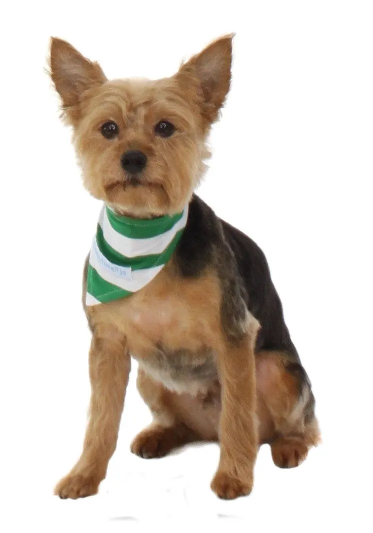 SleepytimePjs Dog or Cat Pet Bandanas