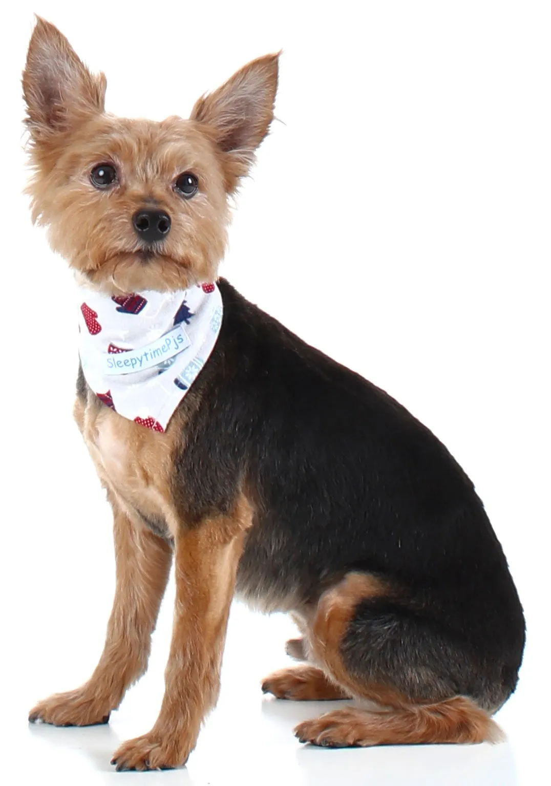 SleepytimePjs Dog or Cat Pet Bandanas