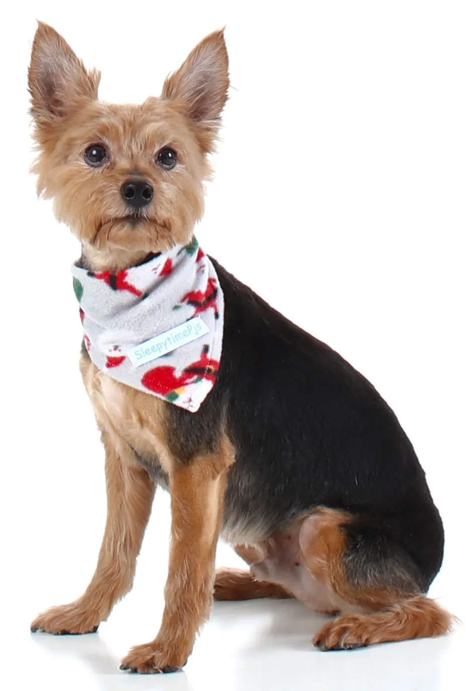 SleepytimePjs Dog or Cat Pet Bandanas