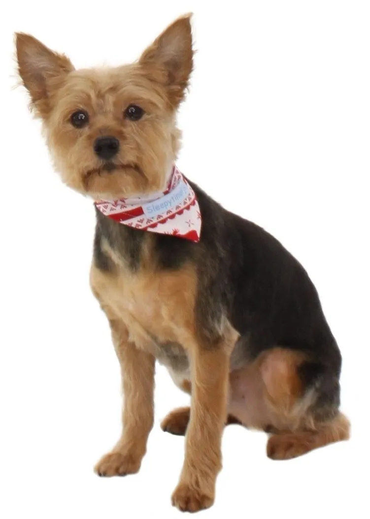 SleepytimePjs Dog or Cat Pet Bandanas