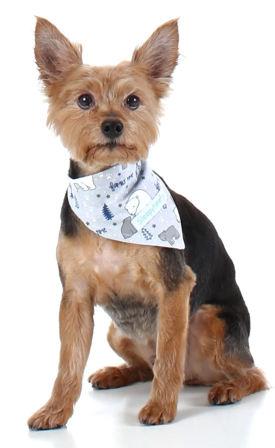 SleepytimePjs Dog or Cat Pet Bandanas