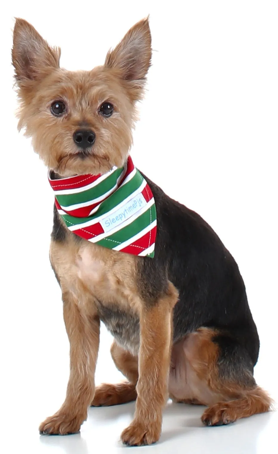 SleepytimePjs Dog or Cat Pet Bandanas