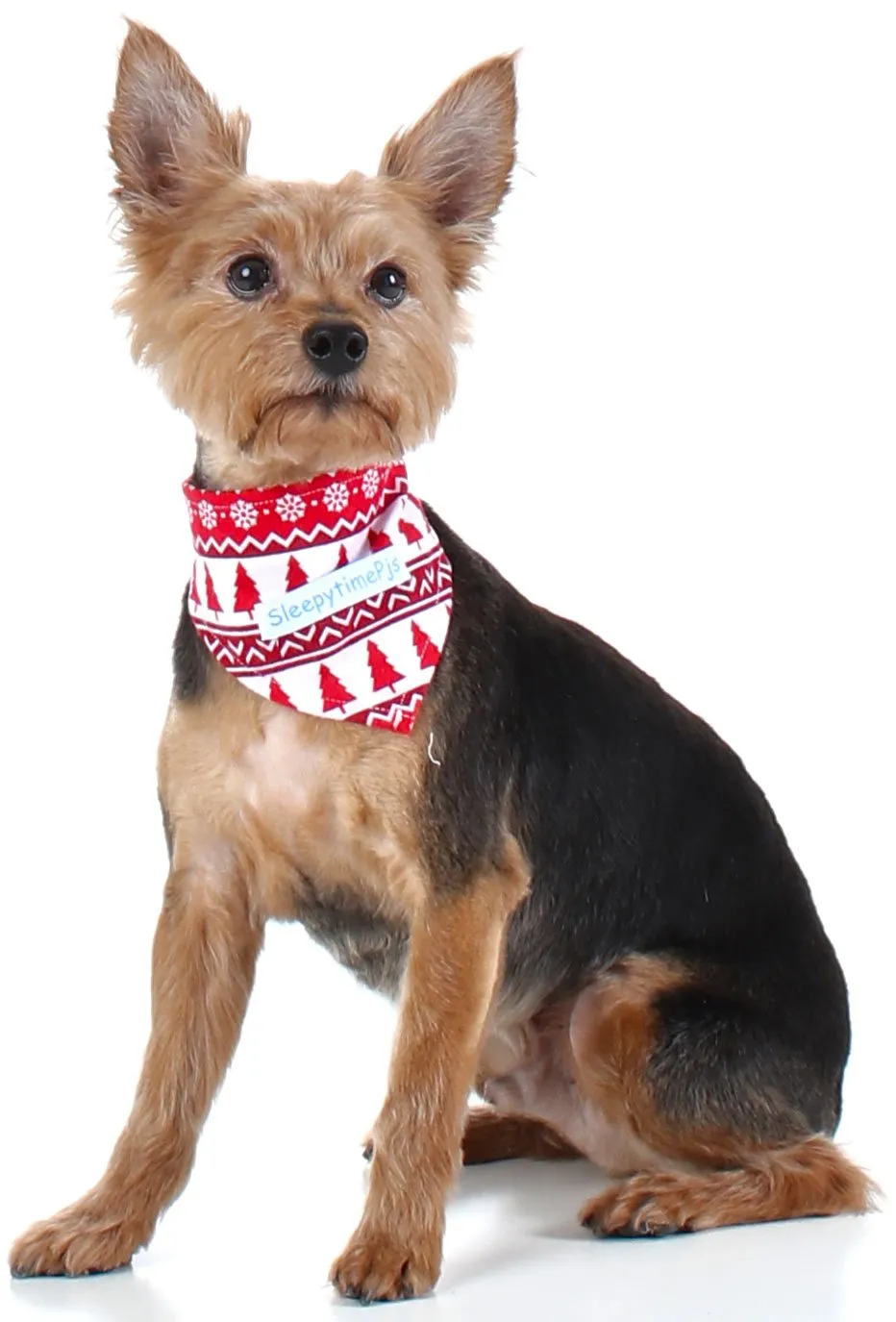 SleepytimePjs Dog or Cat Pet Bandanas