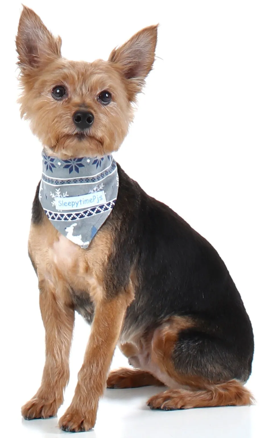 SleepytimePjs Dog or Cat Pet Bandanas