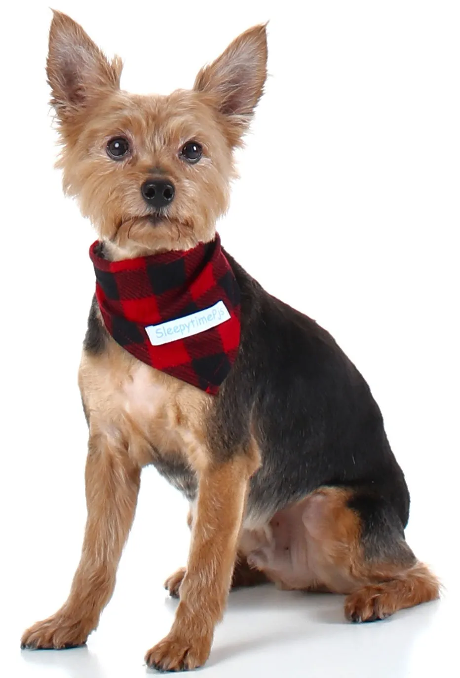 SleepytimePjs Dog or Cat Pet Bandanas
