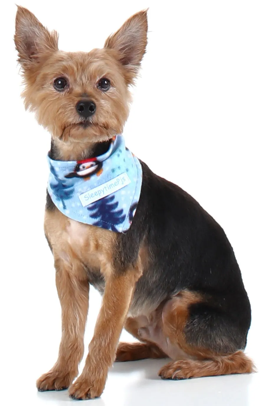 SleepytimePjs Dog or Cat Pet Bandanas