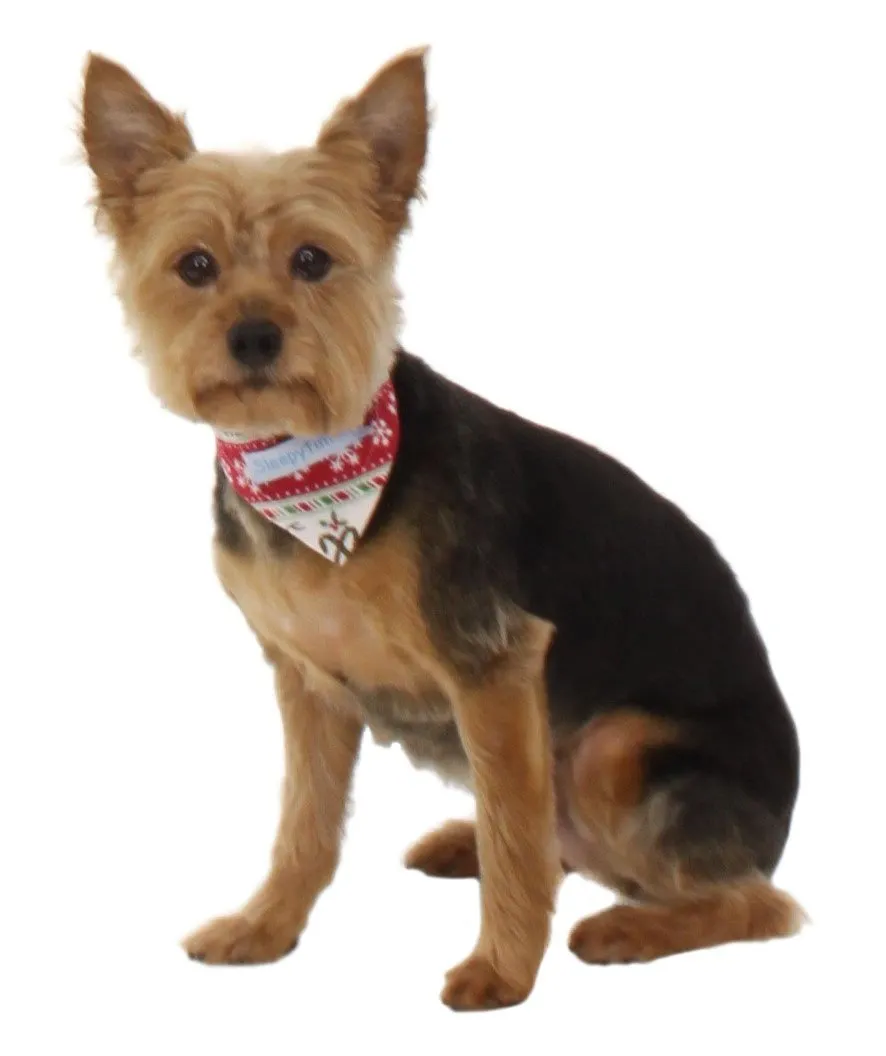 SleepytimePjs Dog or Cat Pet Bandanas