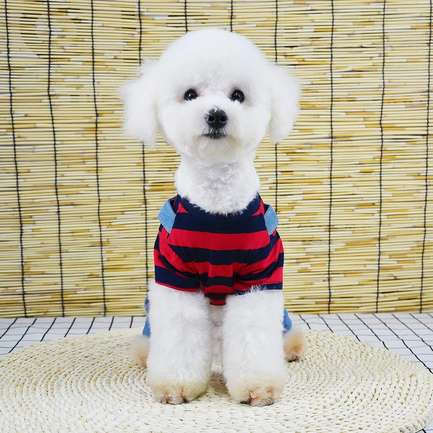 SMALLLEE_LUCKY_STORE Pet Stripe Sweater Shirt Denim Overalls for Small Dogs Cats Boy Girl Tshirt Pants 4 Legged Outfits Puppy Jumpsuit Yorkie Chihuahua Clothes,Red,Size M
