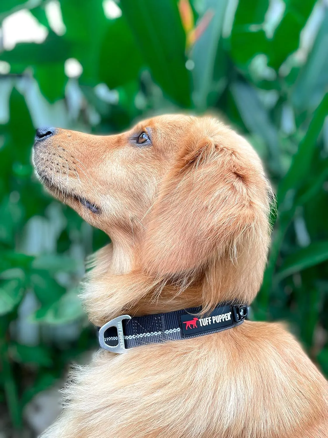Tuff Pupper Heavy Duty Collar | Reflective with Aluminum D-Ring | Separate Dog ID Tag Attachment | Easy Sizing for All Breeds