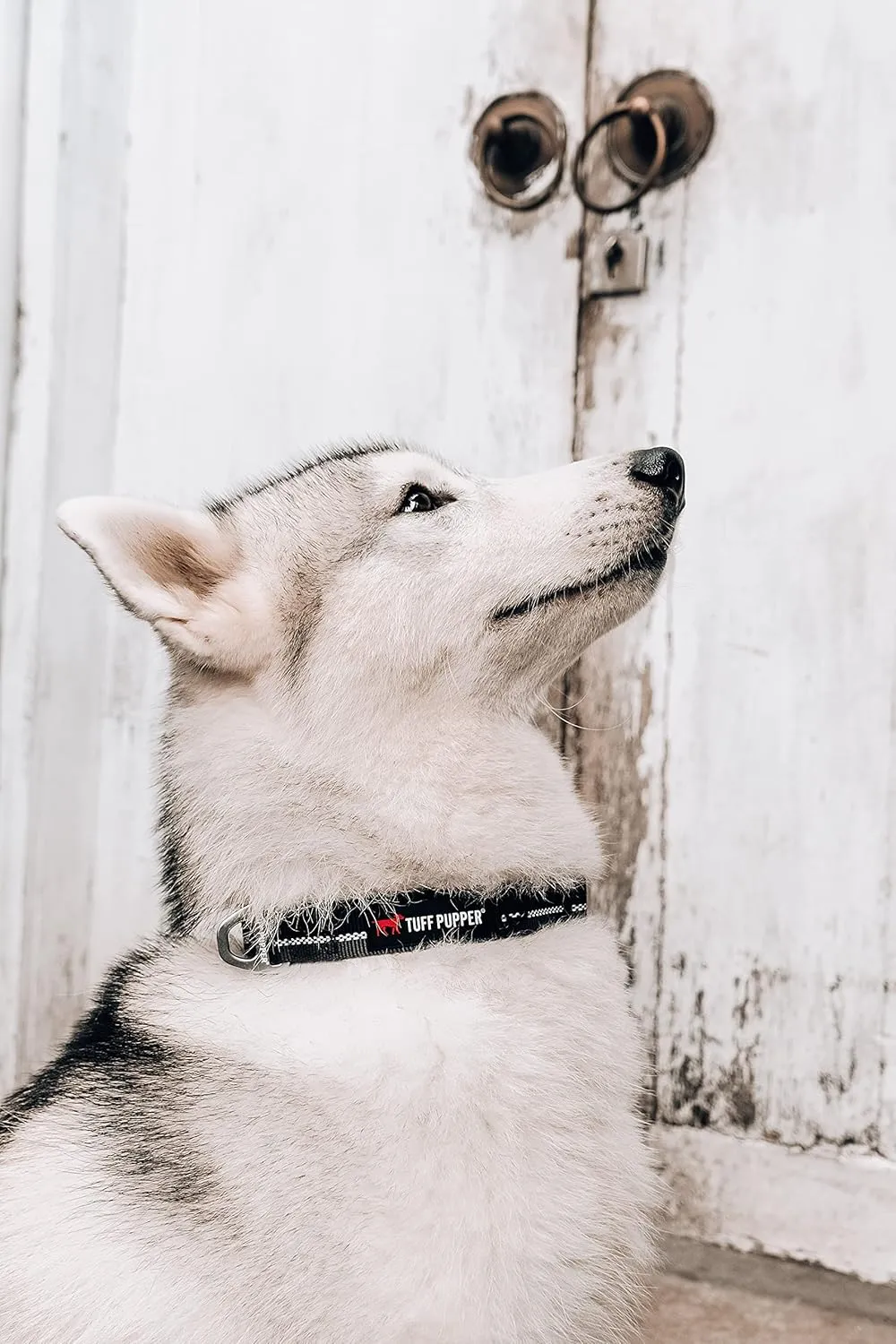 Tuff Pupper Heavy Duty Collar | Reflective with Aluminum D-Ring | Separate Dog ID Tag Attachment | Easy Sizing for All Breeds