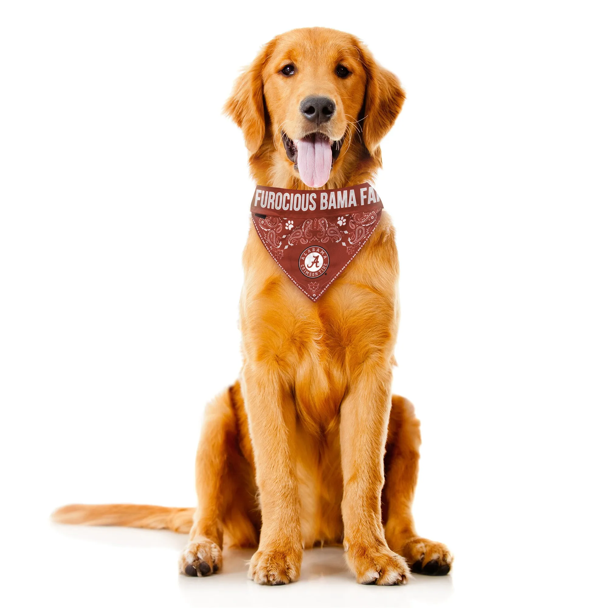 University of Alabama Pet Bandana