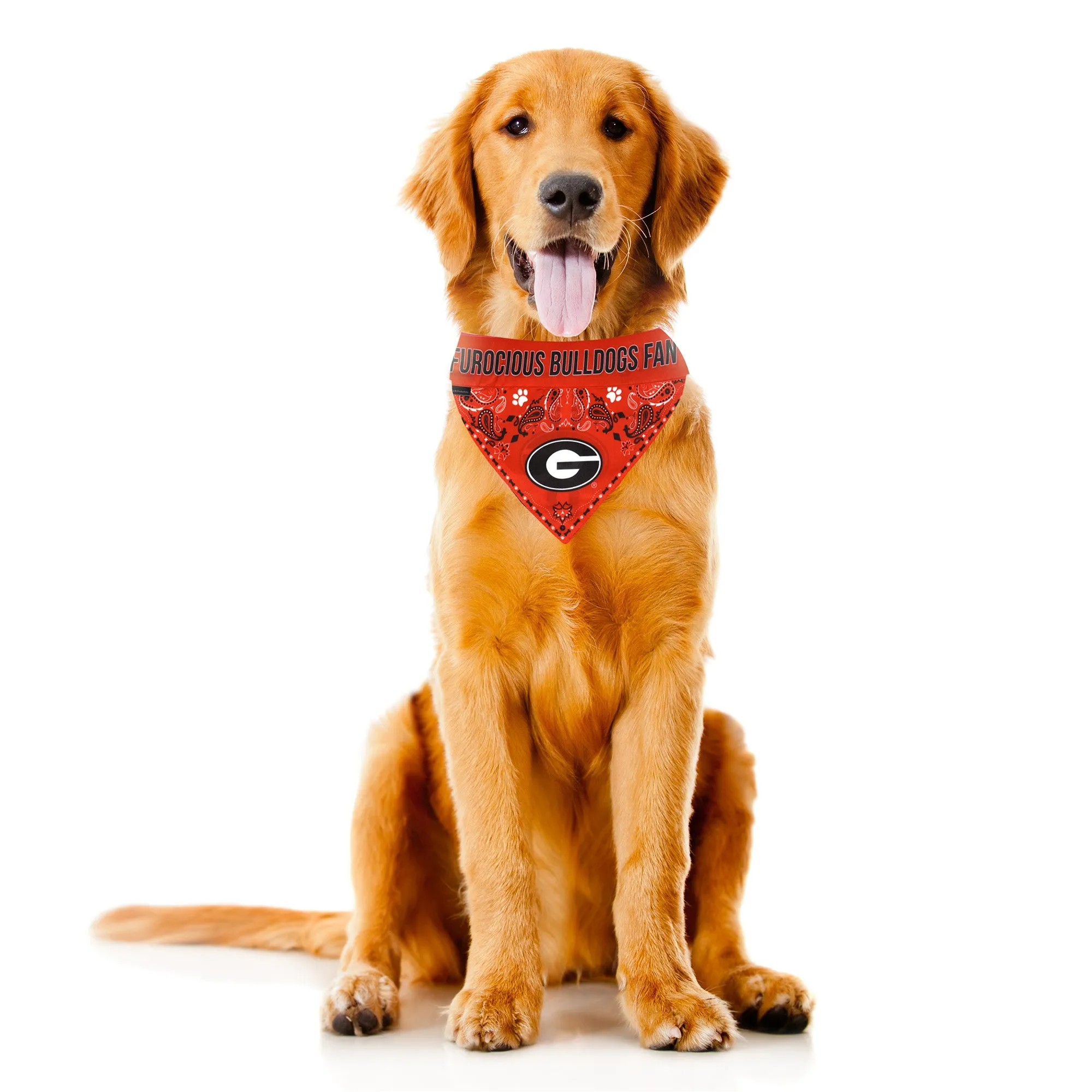 University of Georgia Pet Bandana