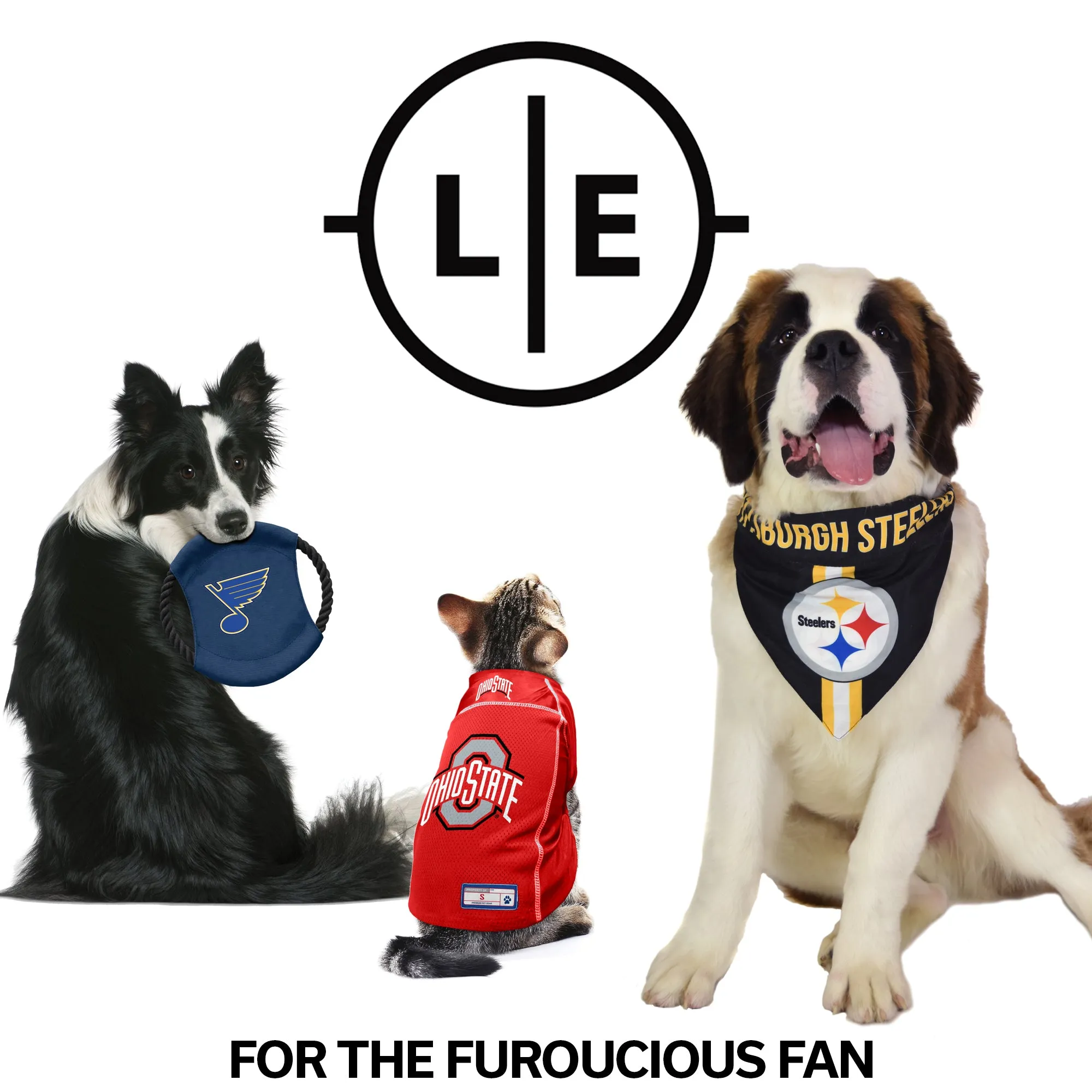 University of Iowa Home and Away Pet Bandana Set
